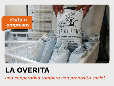 La Overita 4x3