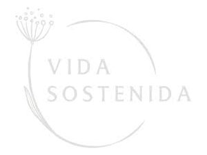 Logo FDT 40 años chico